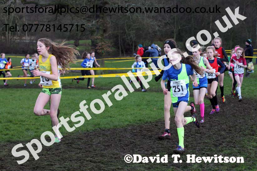 Girls under-13 Northern Cross Country Champs., Witton Park, Blackburn. Photo: David T. Hewitson/Sports for All Pics